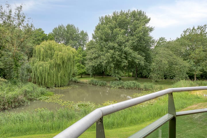 Photo 23 of Anna Paulownaplein 23