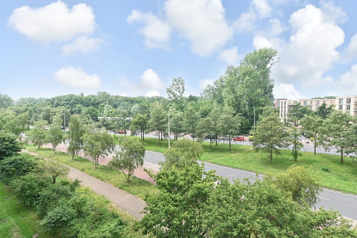 Foto 16 van Landréstraat 737