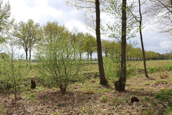 Photo 5 of Zwembadweg 2-W111