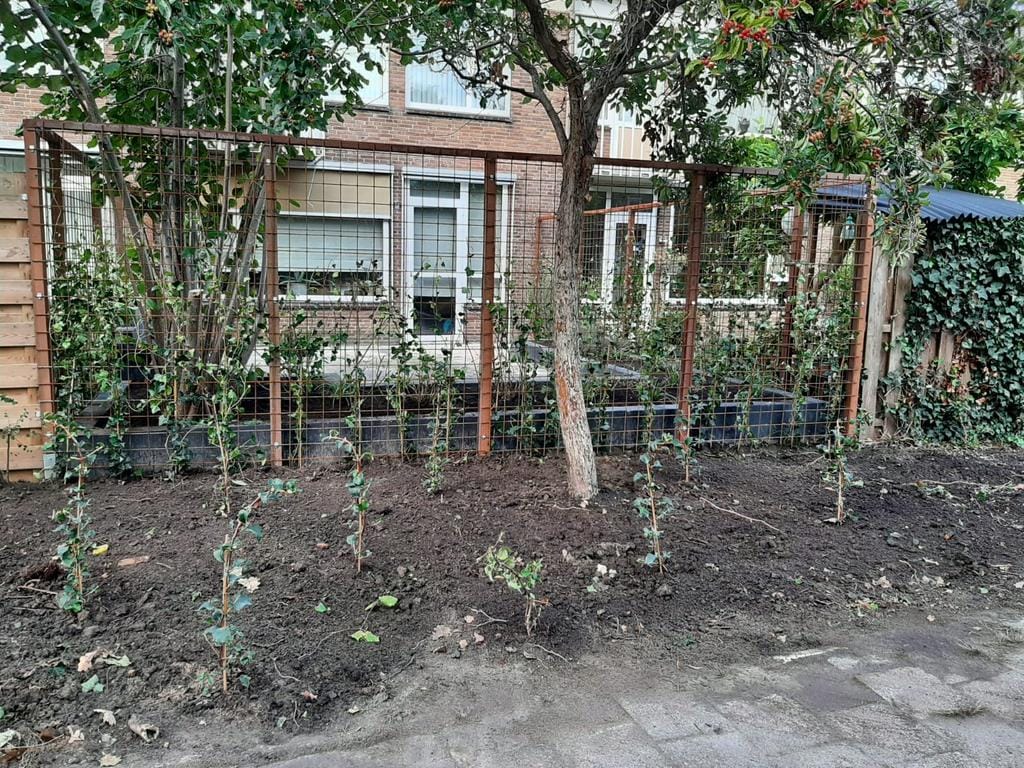 Foto 41 van Briljantlaan 30