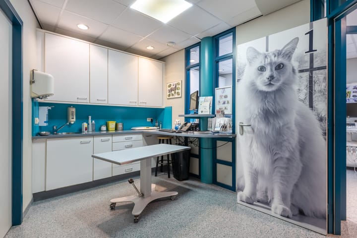 Photo 13 of Horsterweg 66-A