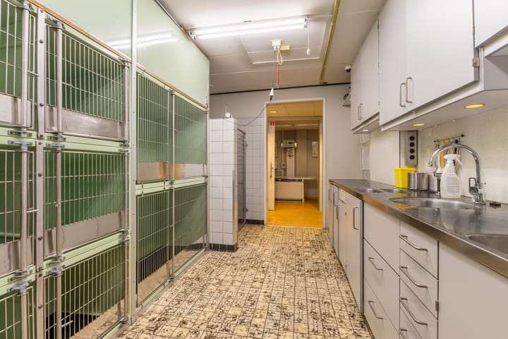 Photo 22 of Horsterweg 66-A