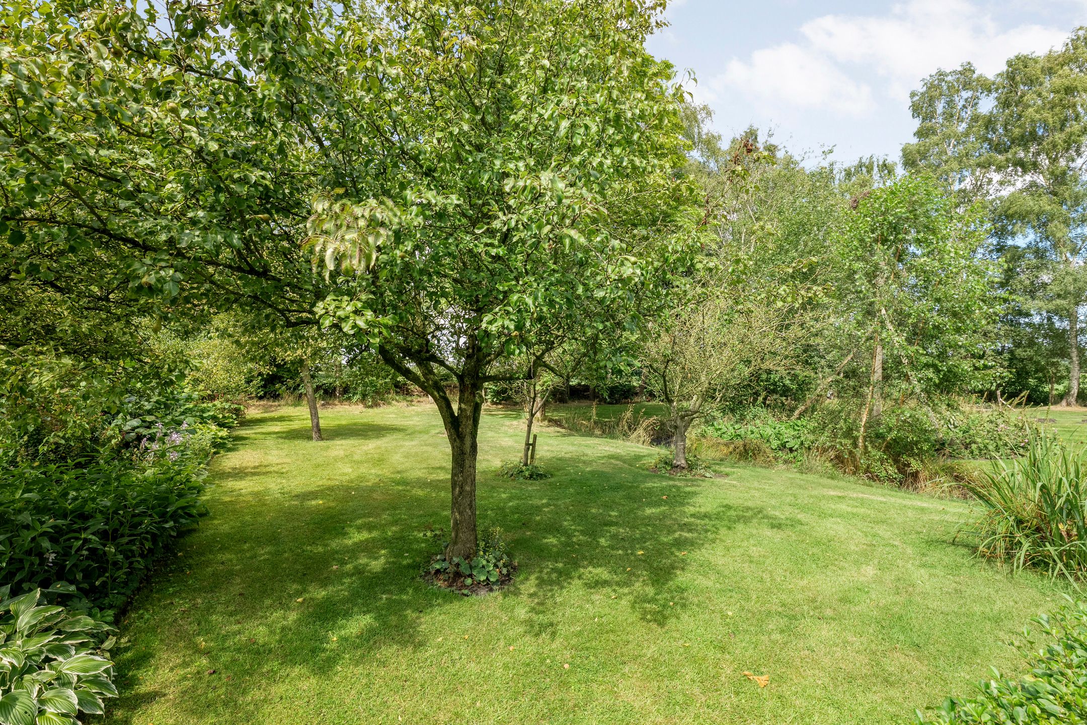 Foto 54 van Stapelerveldweg 6