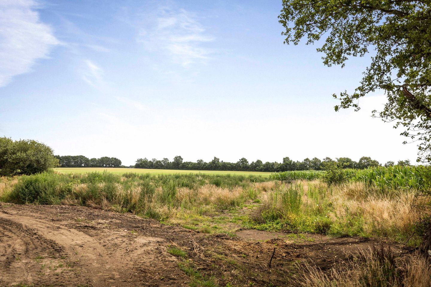 Foto 40 van Schrijversweg 2