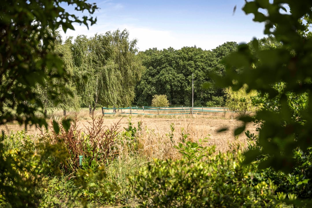 Foto 53 van Schrijversweg 2