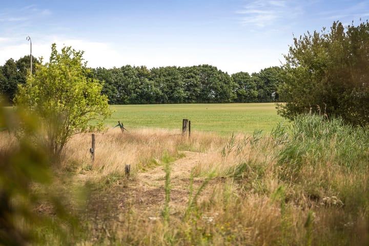 Photo 55 of Schrijversweg 2