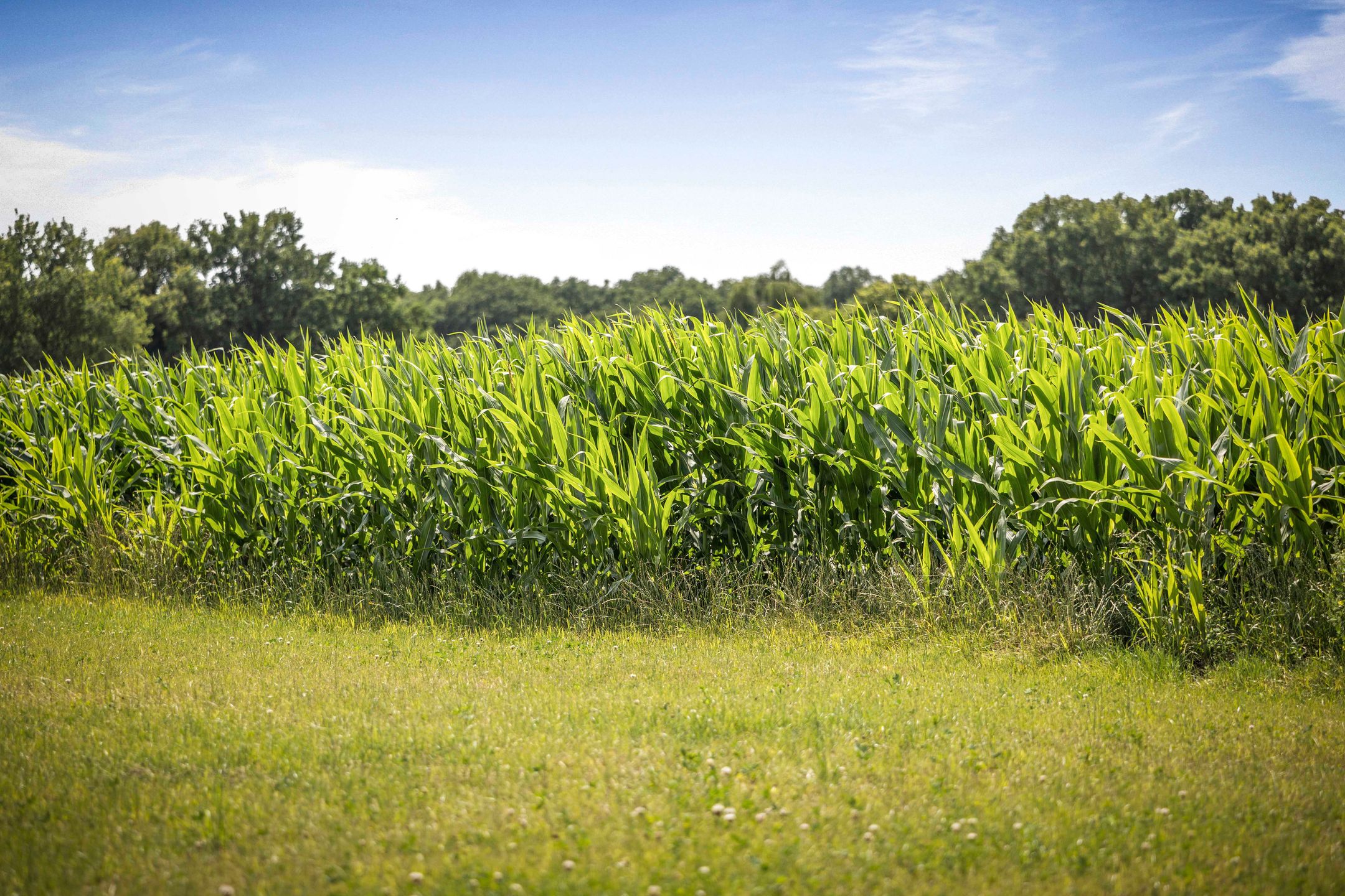 Foto 57 van Schrijversweg 2