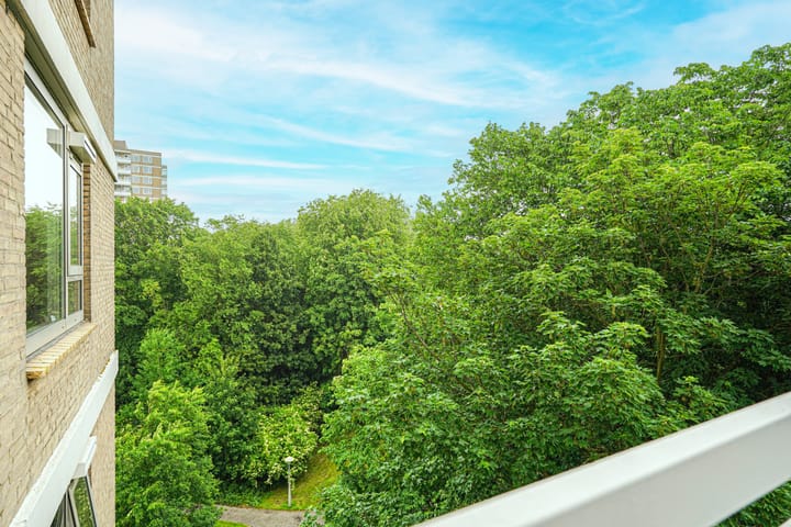 Foto 14 van Nachtwachtlaan 156