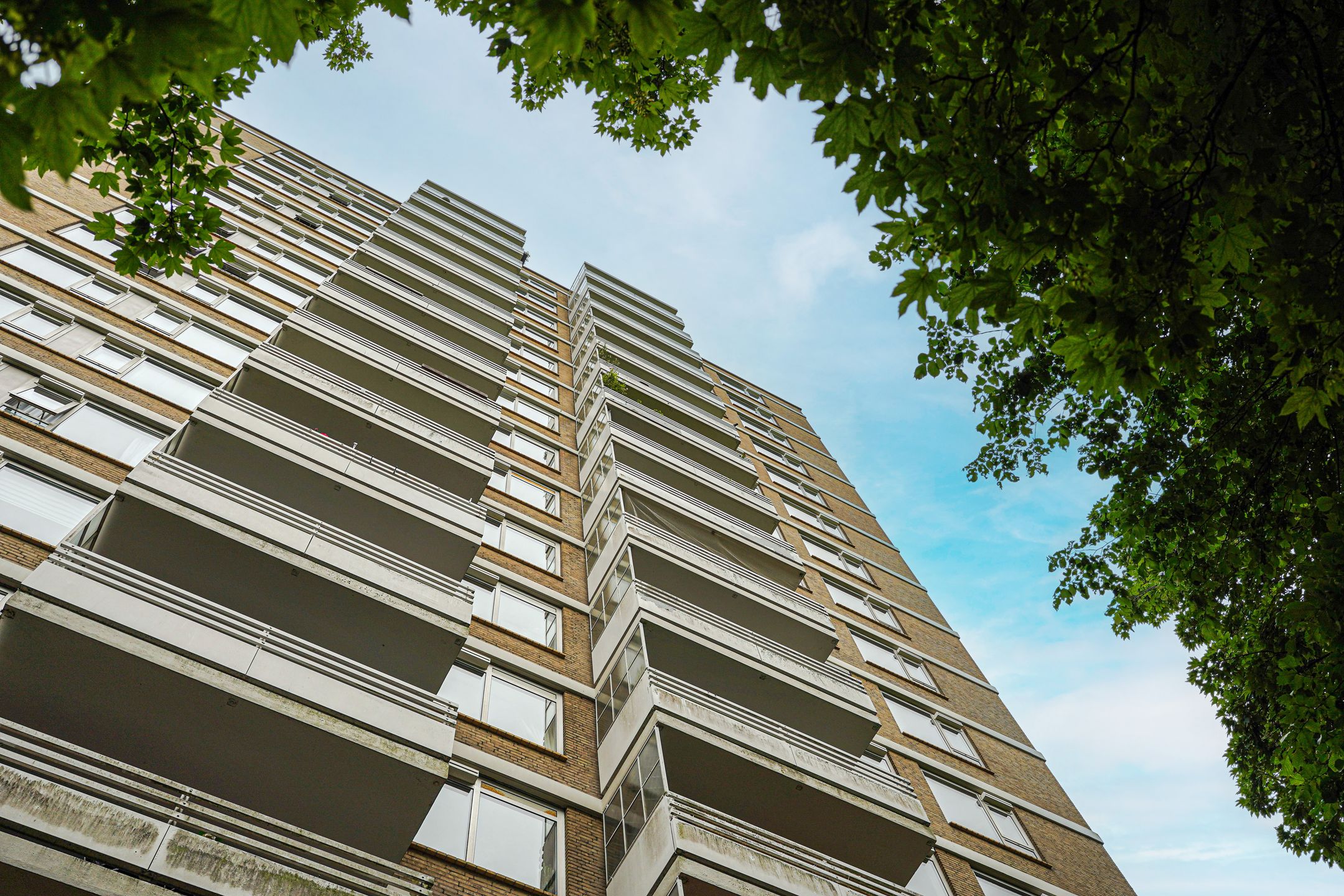 Foto 33 van Nachtwachtlaan 156