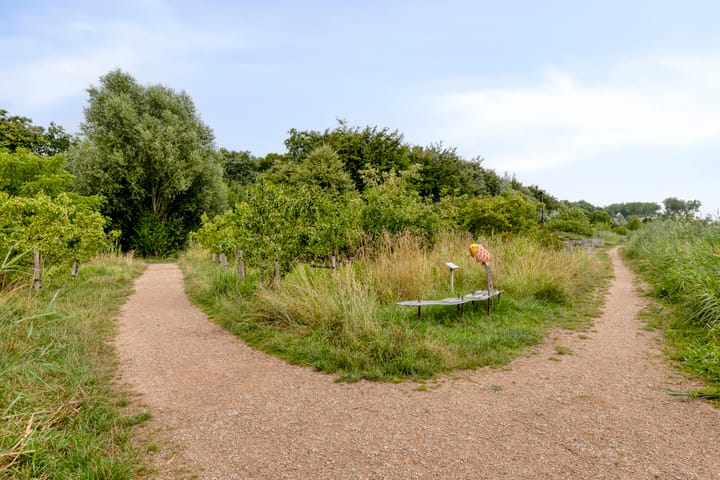 Foto 25 van Brochestraat 5