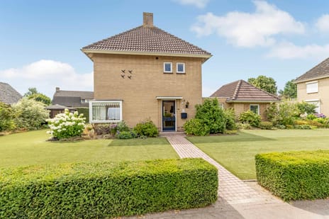 undefined main image