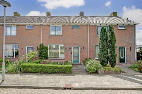 undefined main image