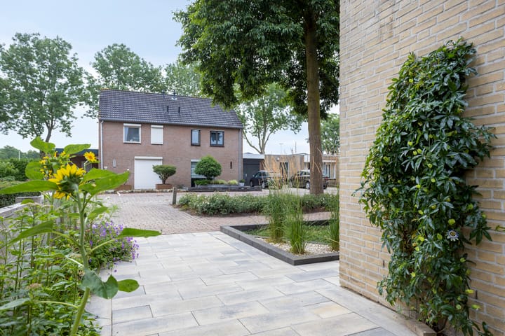 Photo 8 of Melkdam 17