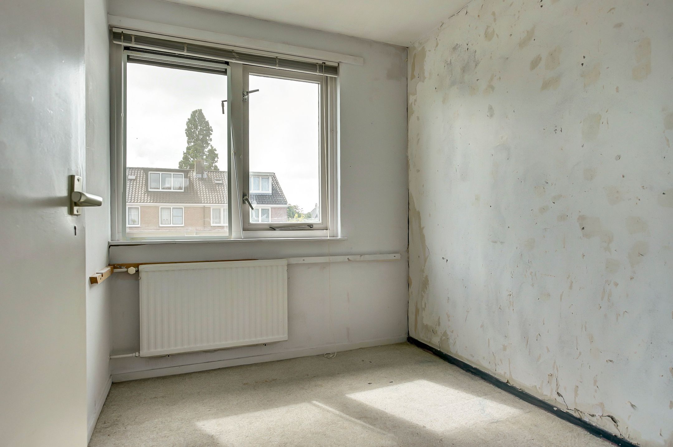 Foto 18 van Frisostraat 4