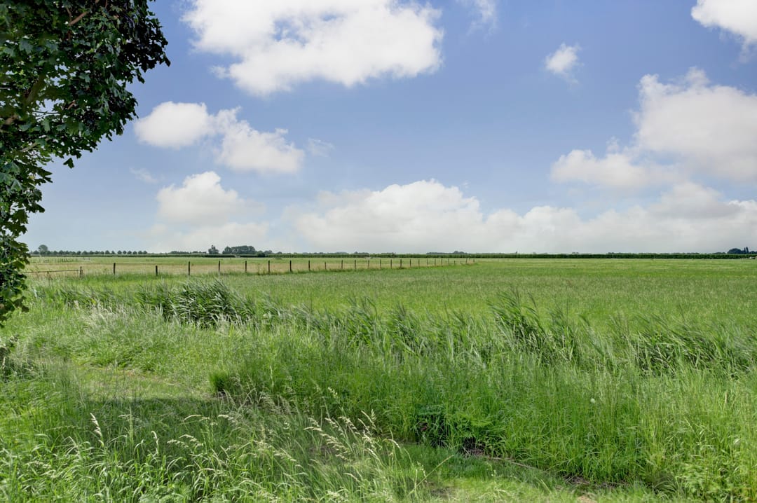 Foto 32 van Frisostraat 4