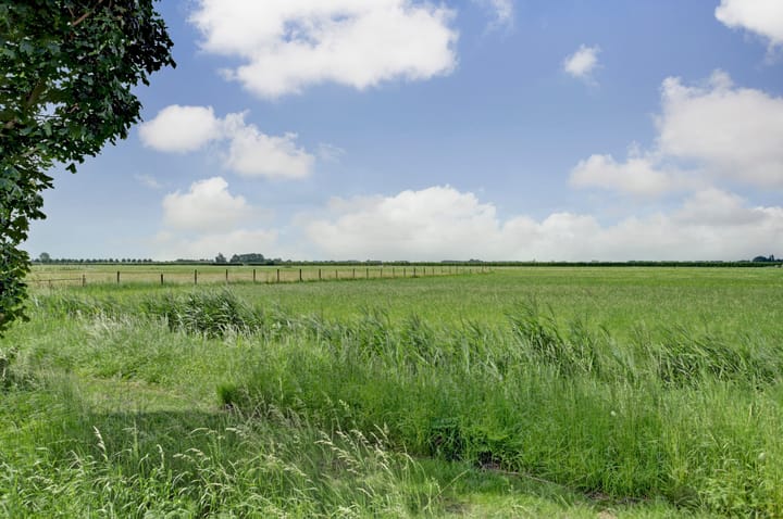 Foto 32 van Frisostraat 4