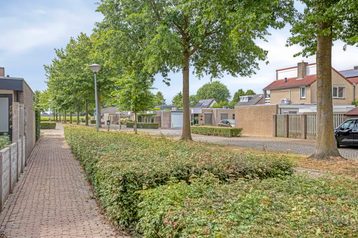 Photo 53 of Melkdam 17