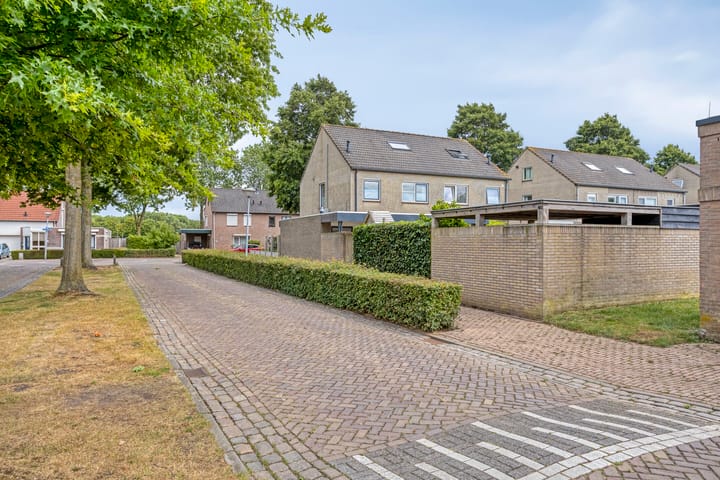 Photo 55 of Melkdam 17