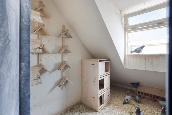 Foto 40 van Bûterheideveld 27