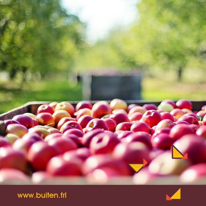 Foto 52 van Bûterheideveld 27