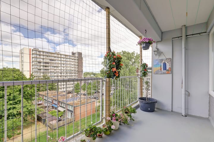 Foto 17 van Louis Raemaekersstraat 223