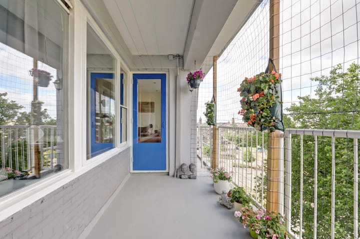 Foto 18 van Louis Raemaekersstraat 223