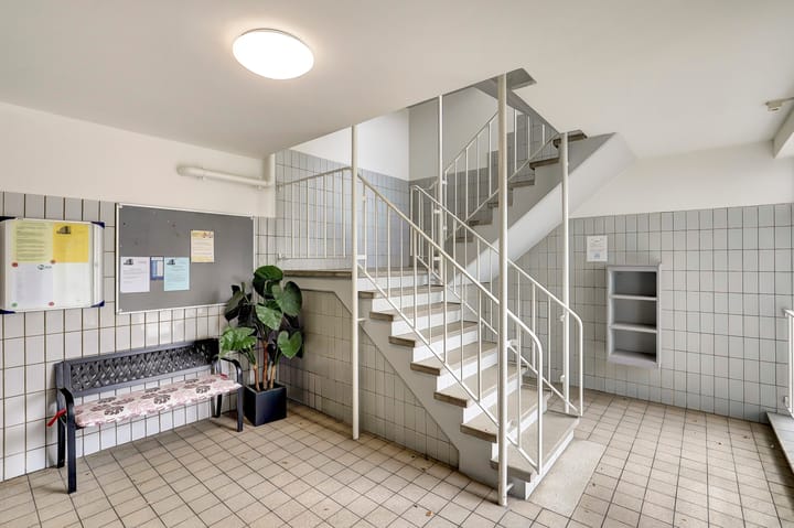 Foto 20 van Louis Raemaekersstraat 223