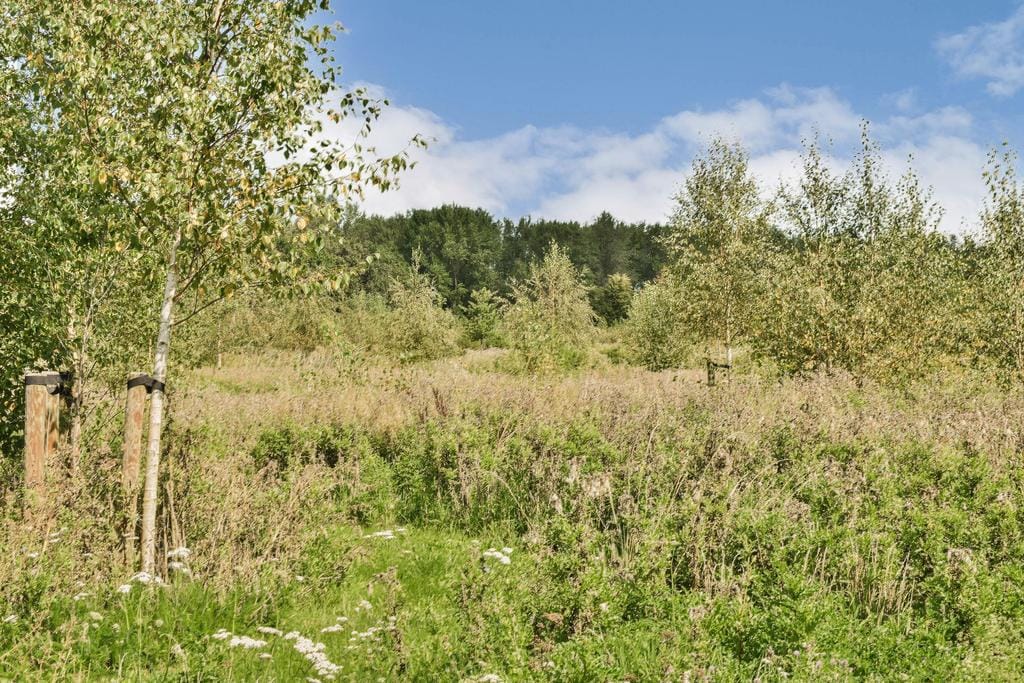 Foto 45 van Pygmalionstraat 144