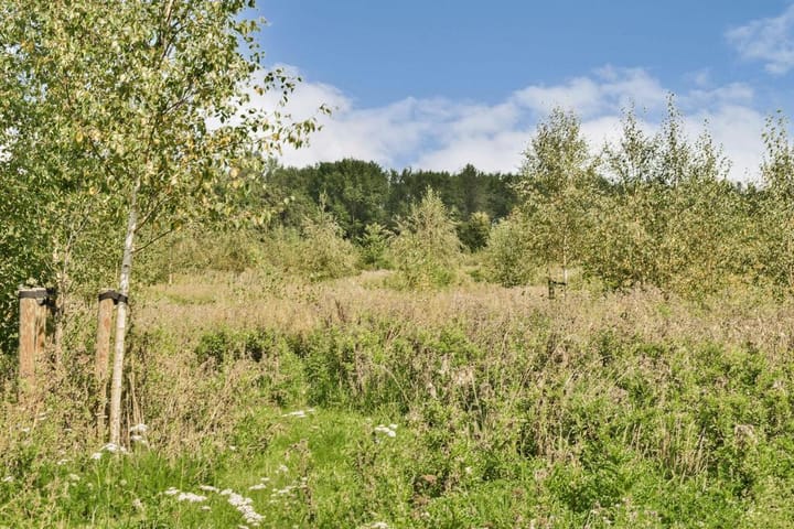 Foto 45 van Pygmalionstraat 144