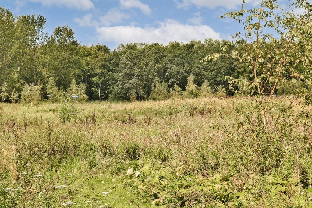 Foto 46 van Pygmalionstraat 144