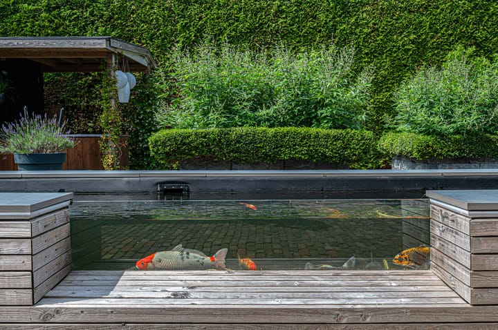 Photo 72 of Refter 12