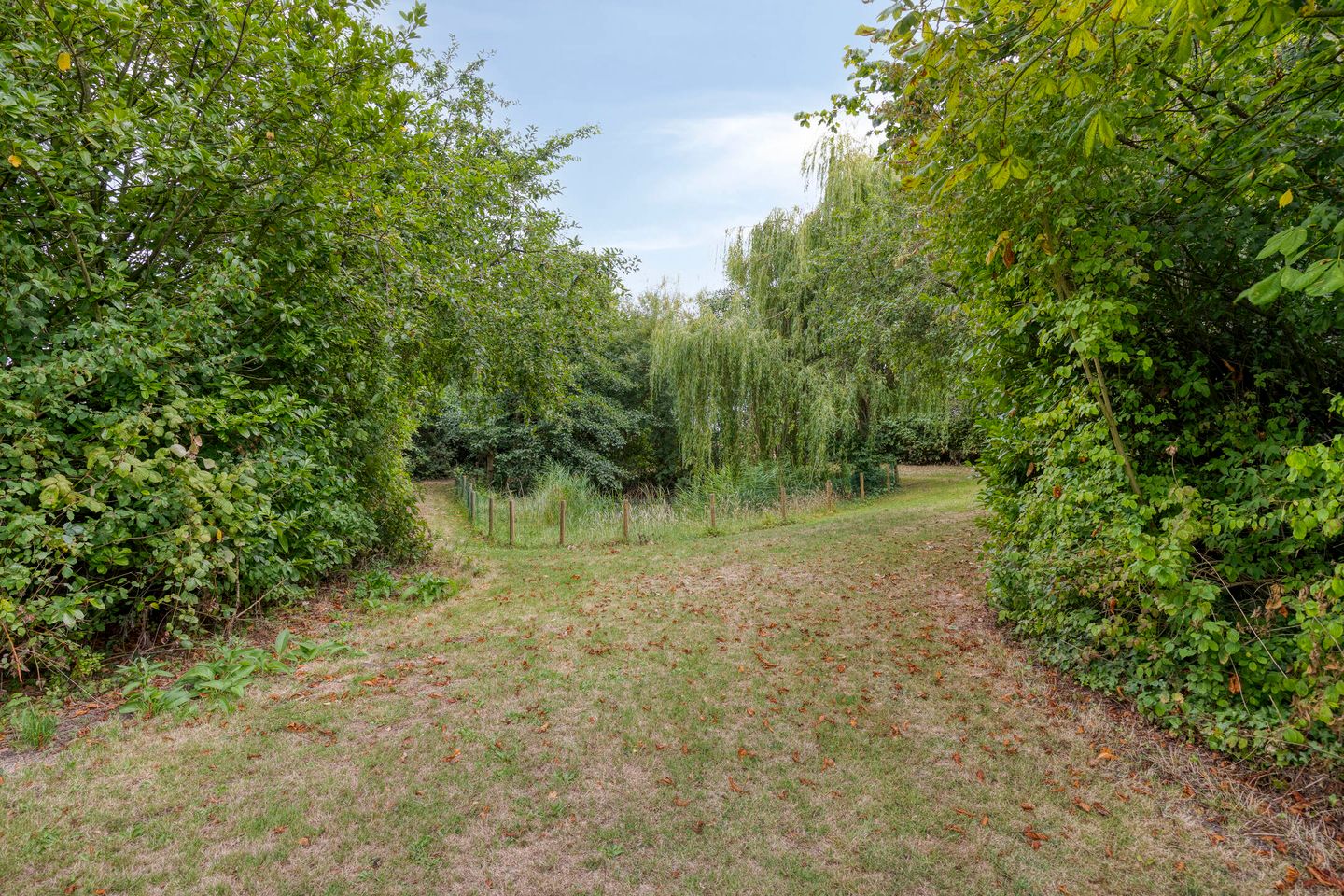 Foto 40 van Noordweg 62