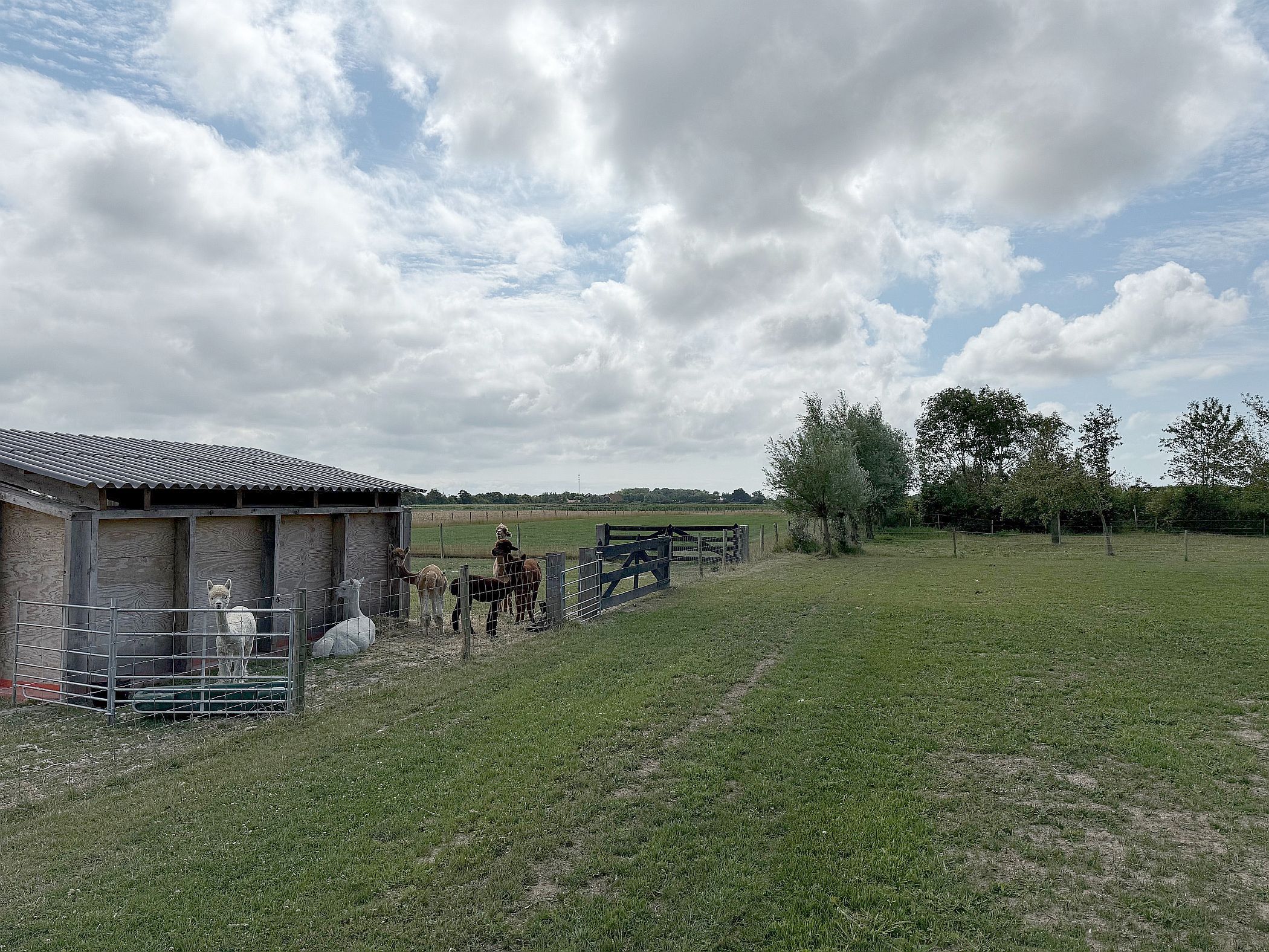 Foto 81 van Noordweg 62