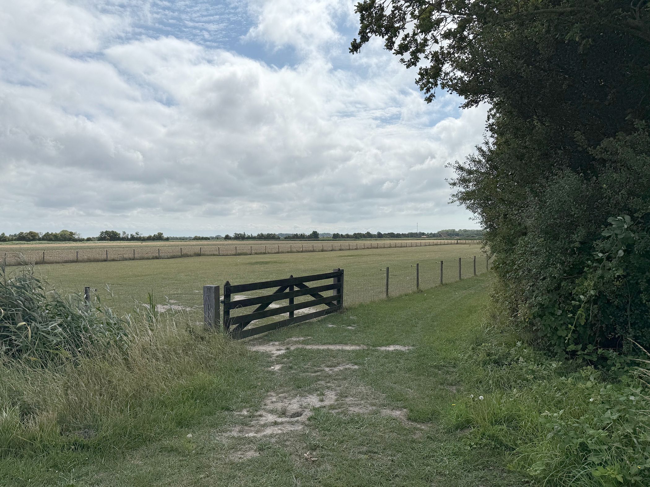 Foto 84 van Noordweg 62