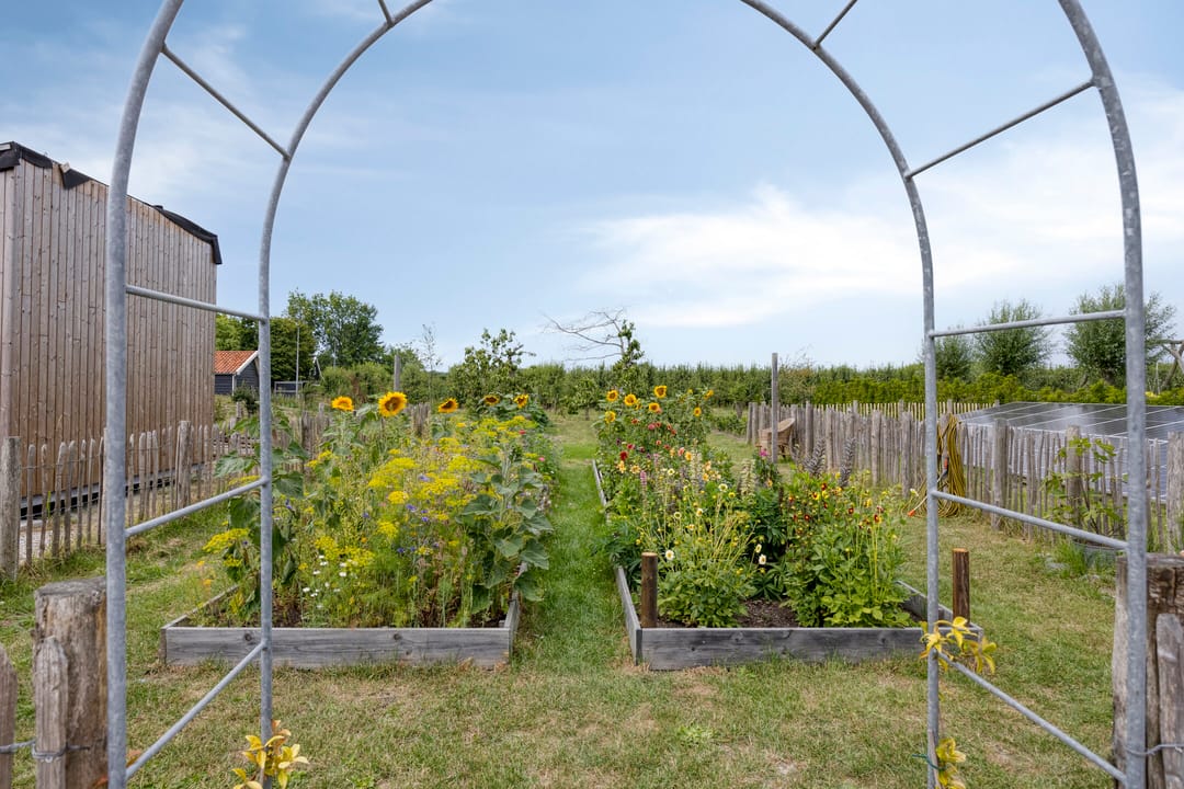 Foto 86 van Noordweg 62