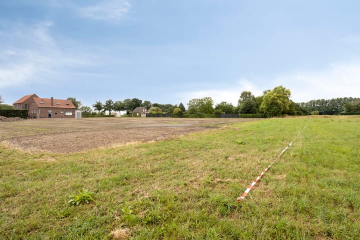 Photo 12 of Elsteren