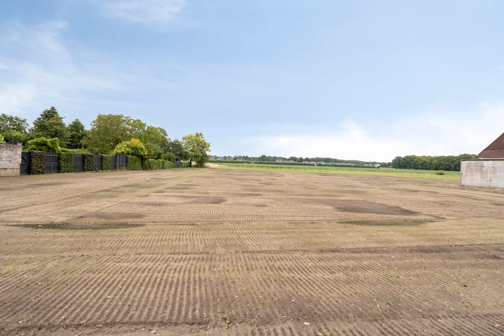 Photo 15 of Elsteren