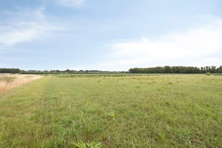 Photo 16 of Elsteren