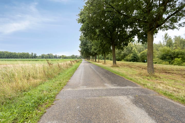 Photo 17 of Elsteren