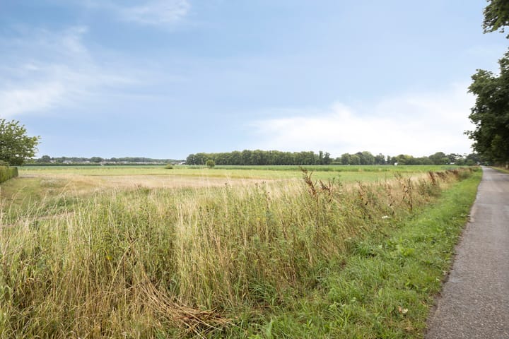 Photo 18 of Elsteren