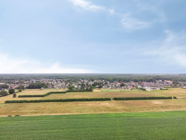 Photo 20 of Elsteren