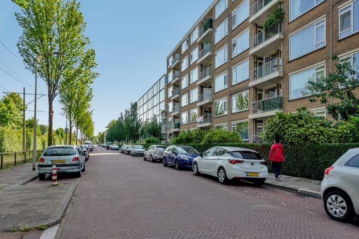 Foto 4 van Erasmusplein 205