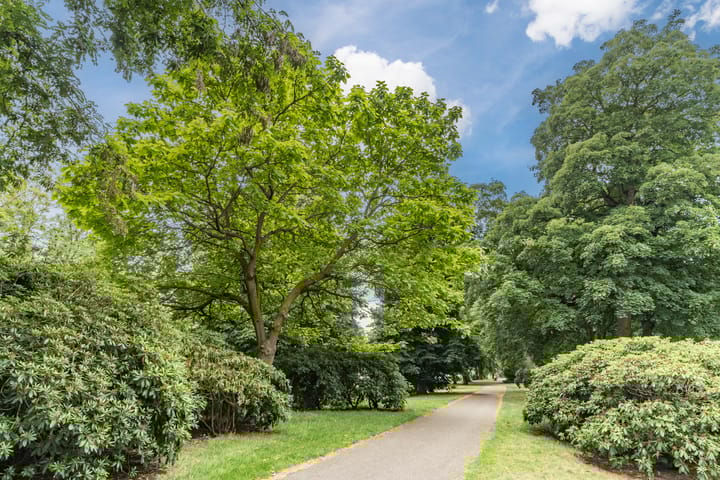 Foto 34 van Aartshertogenlaan 317