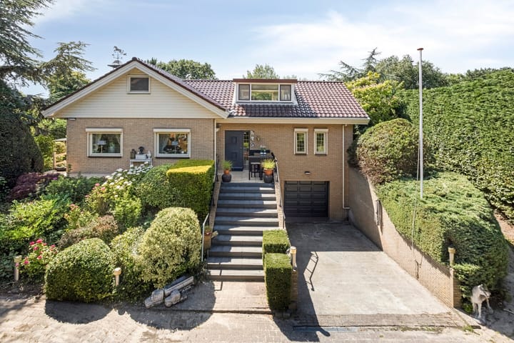 undefined main image