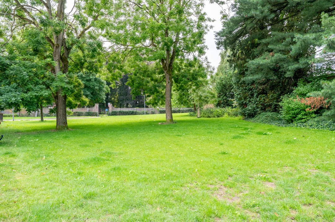 Foto 11 van Burgemeester Andriessenstraat 38