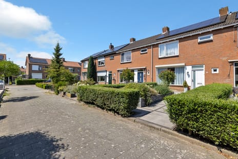 undefined main image