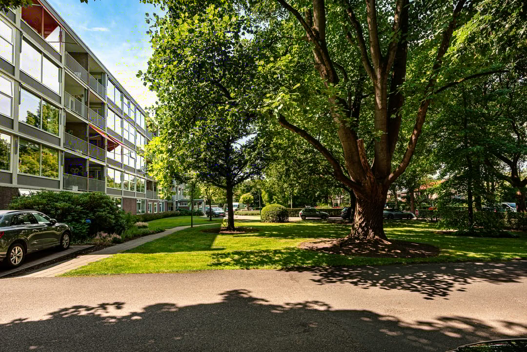 Foto 22 van Beukenhorst 25