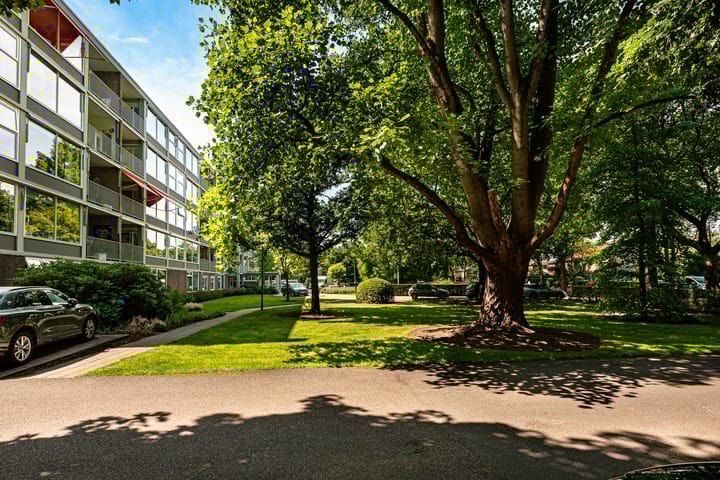 Foto 22 van Beukenhorst 25