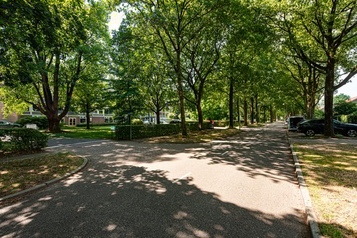 Foto 26 van Beukenhorst 25