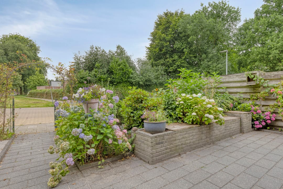 Foto 7 van De Reede 70